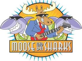 Moose & Da Sharks - Cover Band - Detroit, MI - Hero Gallery 2