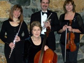 Wilmington String Ensemble - String Quartet - Wilmington, DE - Hero Gallery 3