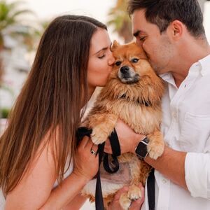Gallery Photo 26