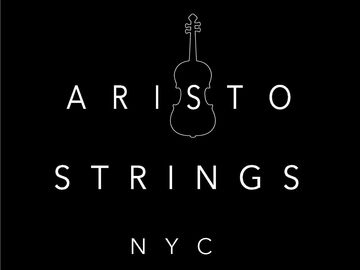 Aristo Strings NYC - Classical Quartet - New York City, NY - Hero Main