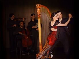 Anna Maria Mendieta - Harp Solo & Ensemble - Harpist - San Francisco, CA - Hero Gallery 3