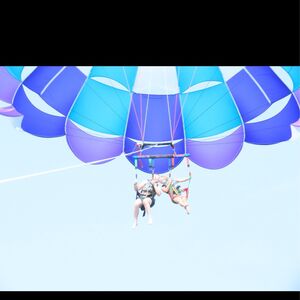 Gallery Photo 20