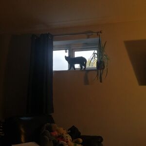 Gallery Photo 38