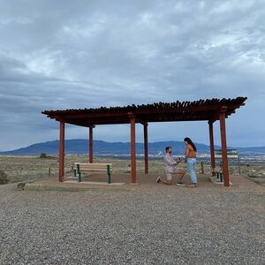Gallery Photo 13