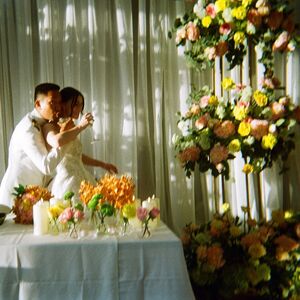 Gallery Photo 236