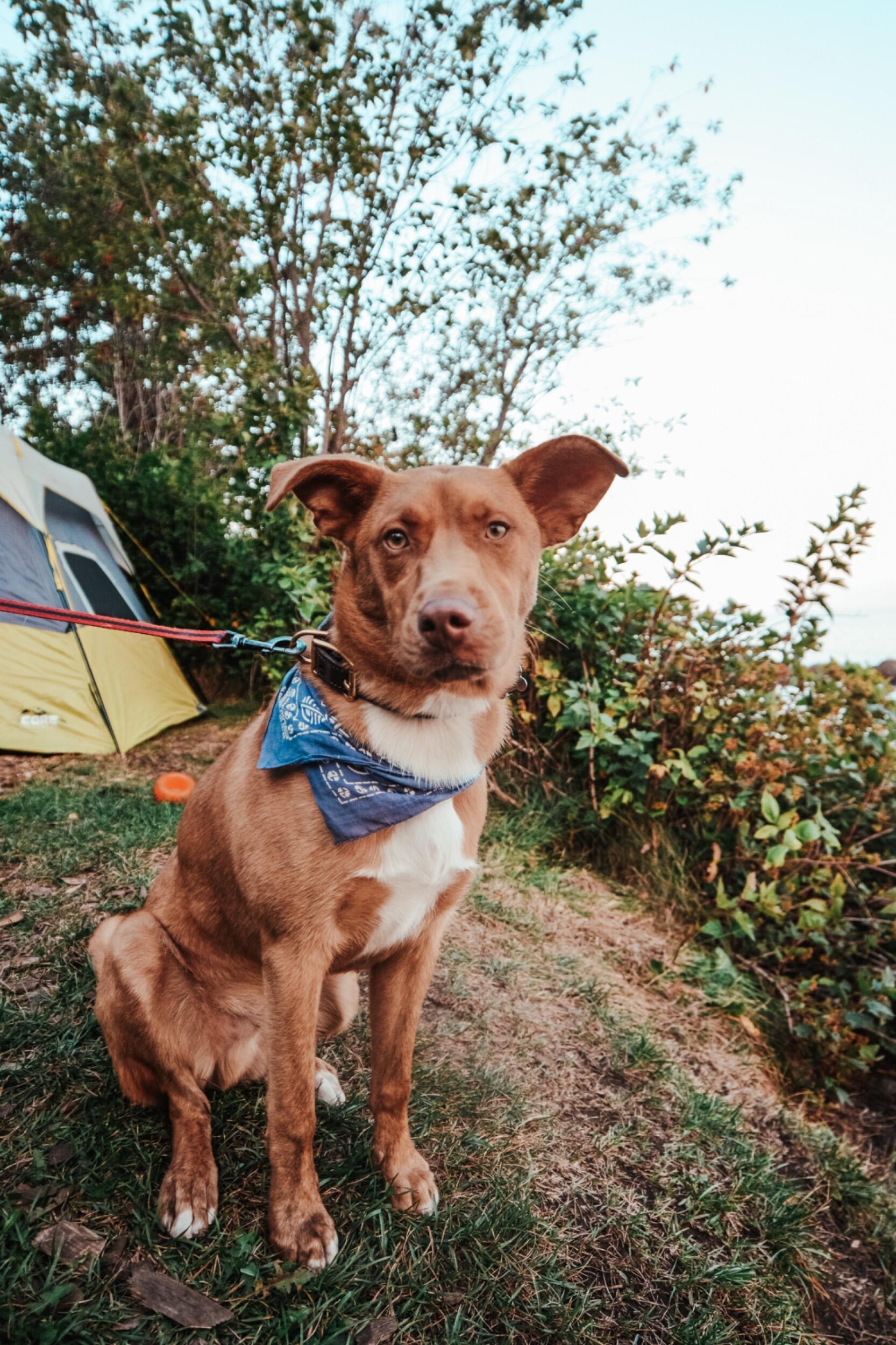 Camped at Lambs resort on Lake Superior 