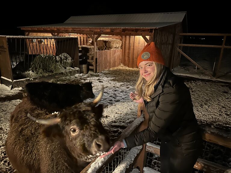 ...with it's own mini highland cows in the backyard.