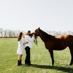 Gallery Photo 8