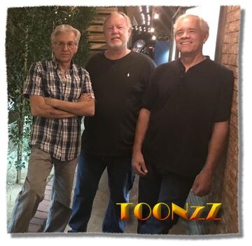 TOONzZ Band - Cover Band - Phoenix, AZ - Hero Main