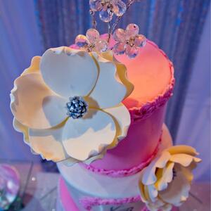 Gallery Photo 45