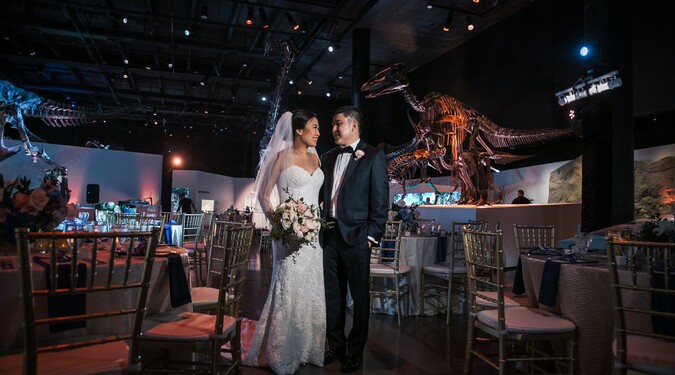 Houston Science Museum Wedding Wedding With The Dinosaurs At Houston