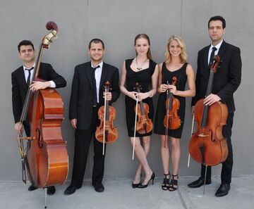 SPN Events - String Quartet - New York City, NY - Hero Main