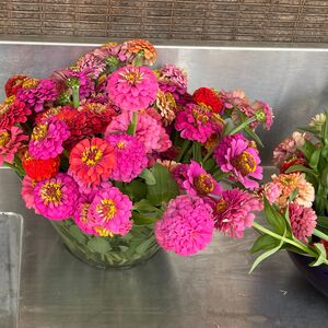 Gallery Photo 19