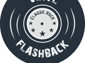 Vinyl Flashback - Classic Rock Band - Austin, TX - Hero Gallery 2