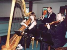 Weddings & Concerts Of Florida, Harpist: Melody - Harpist - Daytona Beach, FL - Hero Gallery 4