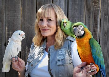 Wildlife Wendy's Tropical Birds - Animal For A Party - Santa Clarita, CA - Hero Main