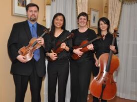 Haase String Quartet - String Quartet - Fairfax, VA - Hero Gallery 2