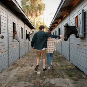 Gallery Photo 9