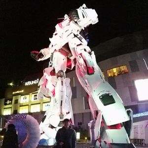 Gallery Photo 24