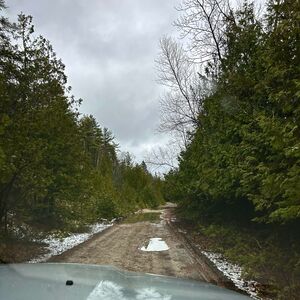 Gallery Photo 6