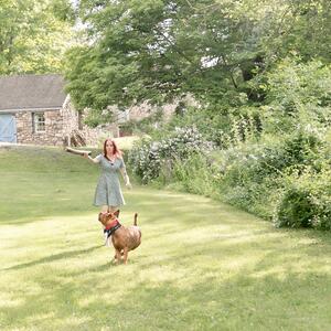 Gallery Photo 19