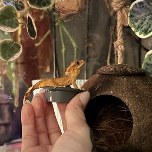 Gallery Photo 46