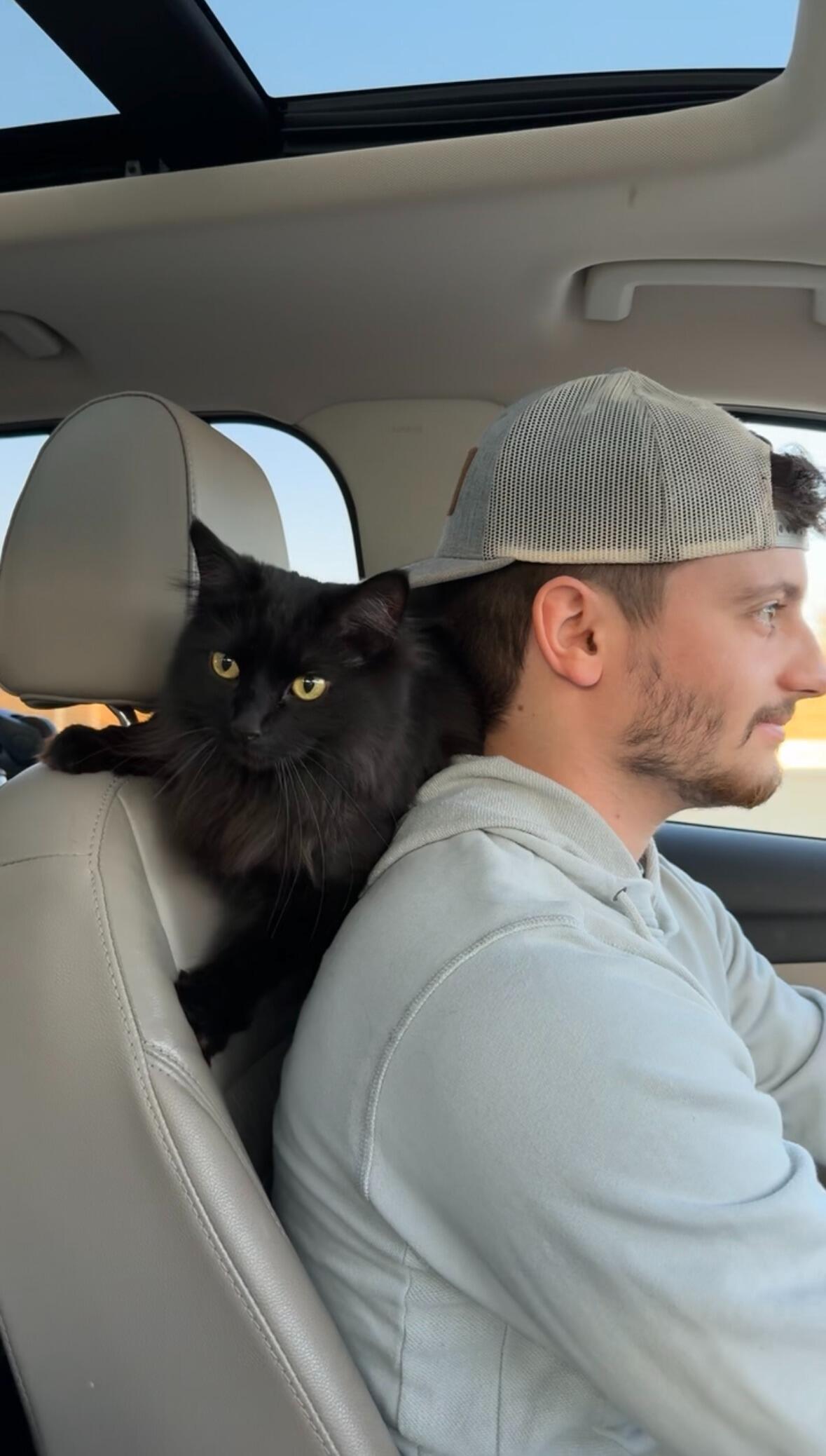 Embracing the Cat Dad life