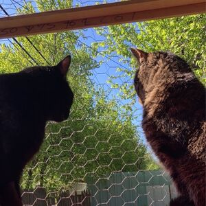 Gallery Photo 21