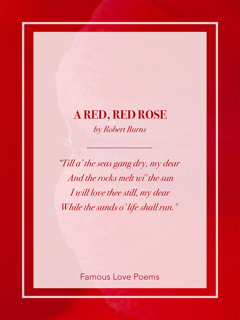 Read The 55 Best Poems About Love for Every Occasion