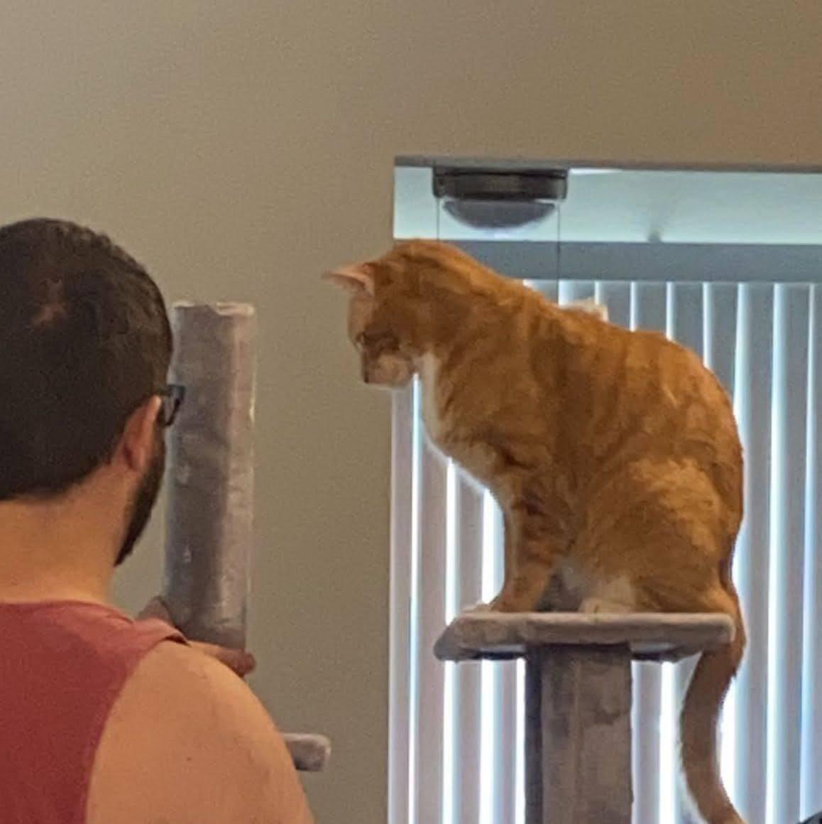 We move into together - Bobby approves!