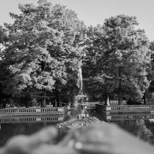Gallery Photo 23