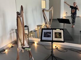Sarah Loveland - Harpist - Pearl River, NY - Hero Gallery 3