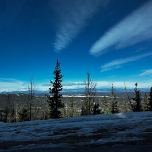 Gallery Photo 7