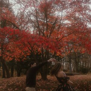 Gallery Photo 16