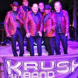 KRUSH Party Band, profile image