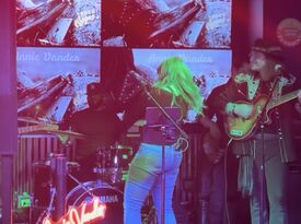 Annie Vander - High Energy Country Band - Country Band - Yorkville, IL - Hero Gallery 3