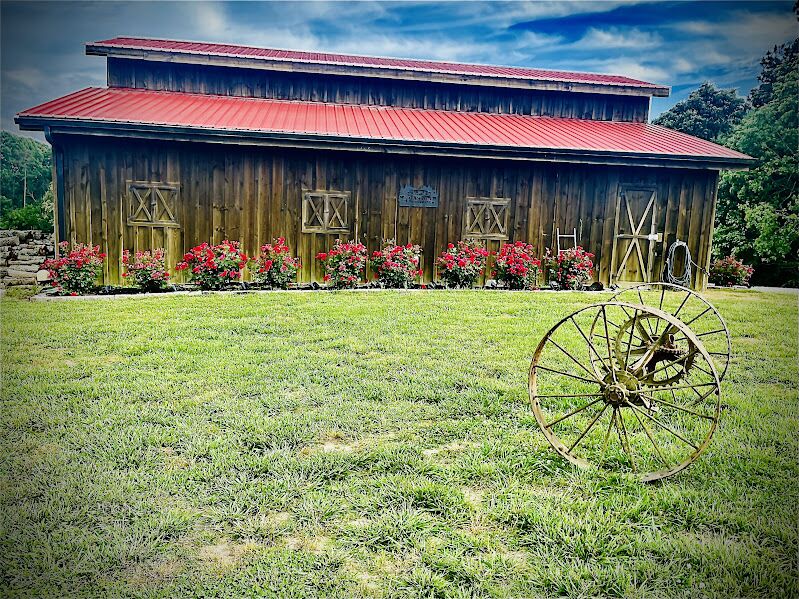 Hidden Pines | Reception Venues - The Knot