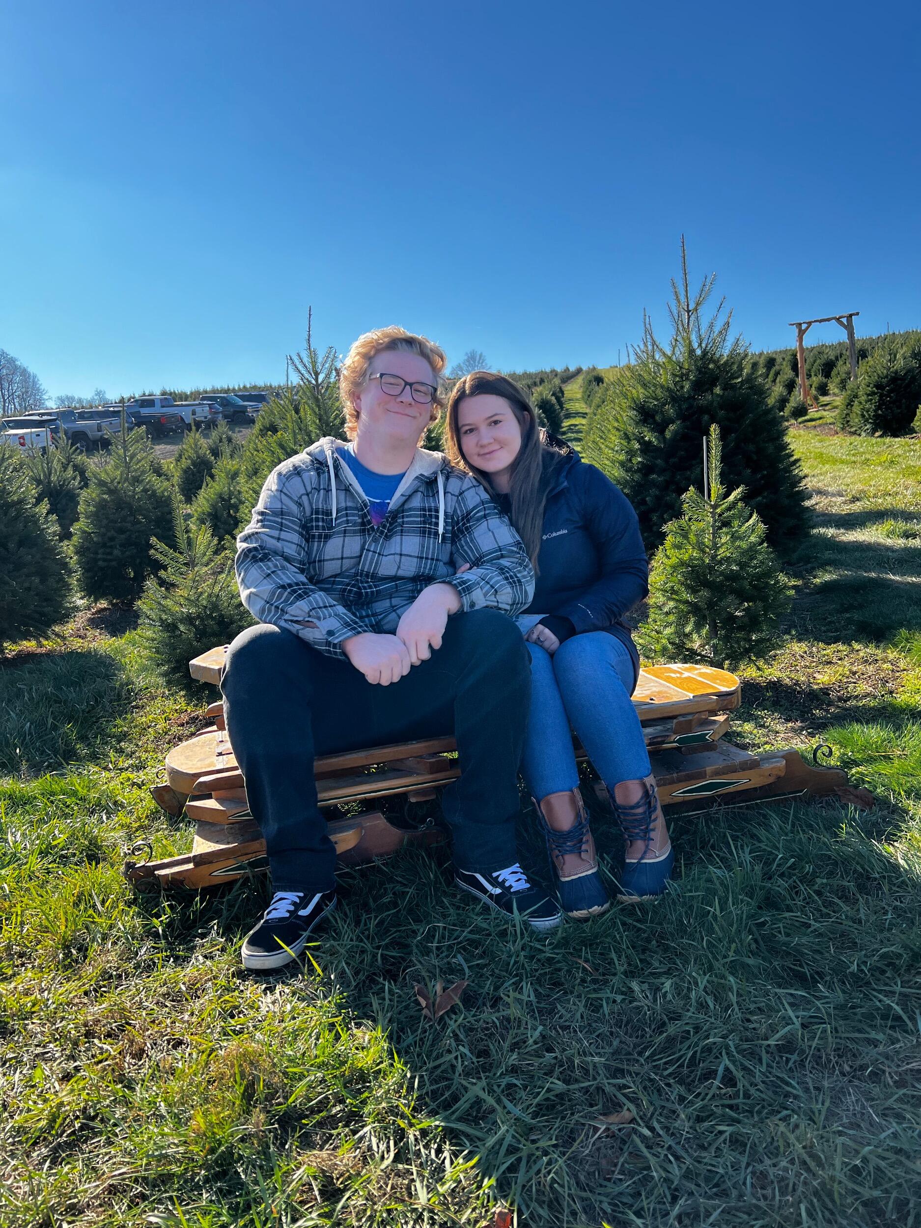 Christmas Tree Hunting