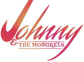 Johnny & The Mongrels - Variety Band - Denver, CO - Hero Gallery 1