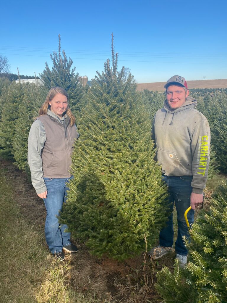 Our first Christmas tree together.