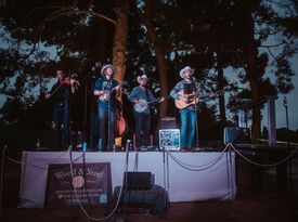 Wood & Steel Live Music Company - Bluegrass Band - Los Angeles, CA - Hero Gallery 1