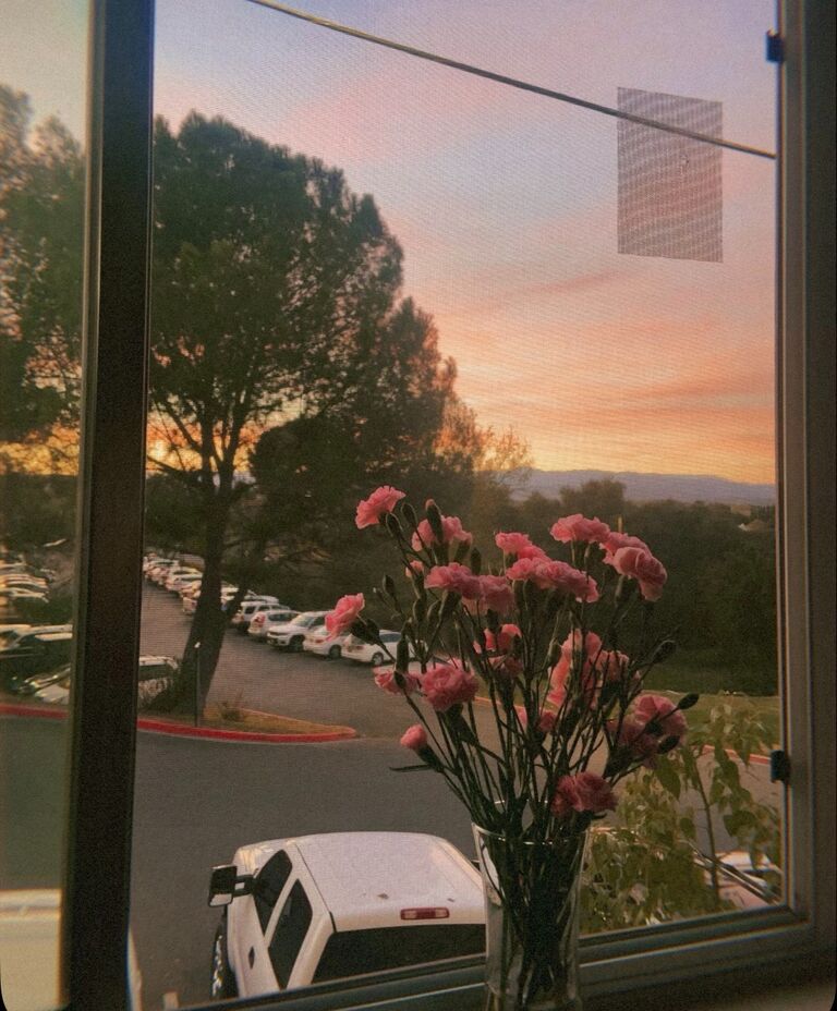 The first time Simon bought me flowers :) 