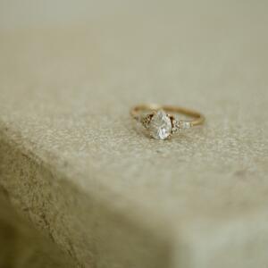 Gallery Photo 14