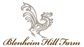 Vendor Logo