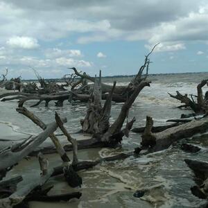 Gallery Photo 44