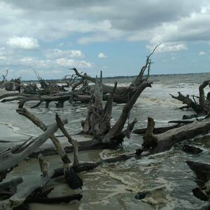 Gallery Photo 44