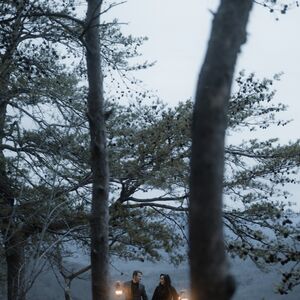 Gallery Photo 29