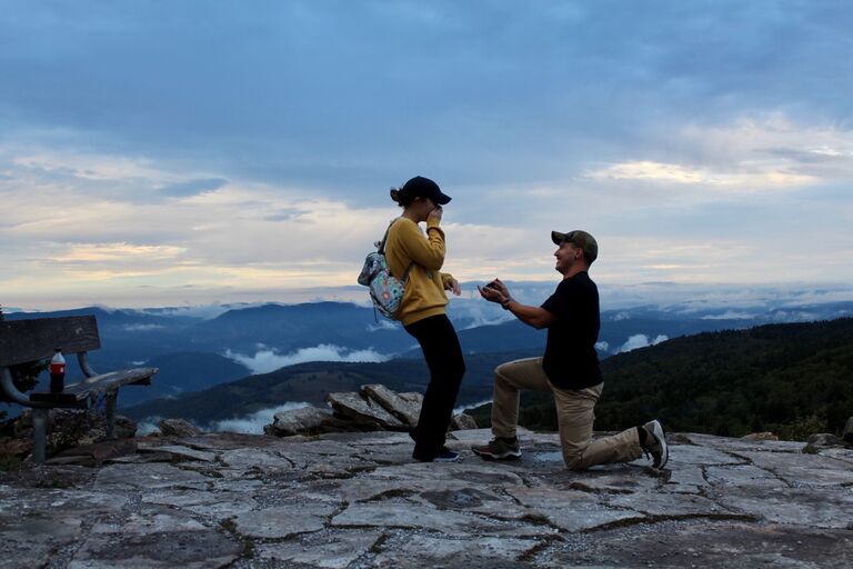 The proposal