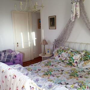 Gallery Photo 11