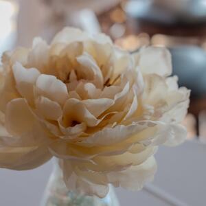 Gallery Photo 151